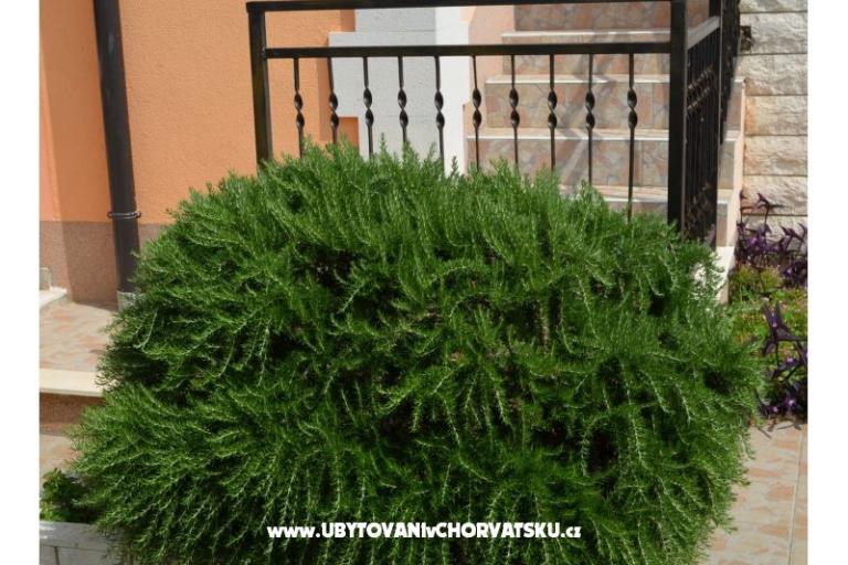 Apartmanok Brksi  – fotó 14