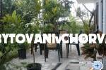 Apartmanok Gardijan – fotó 8