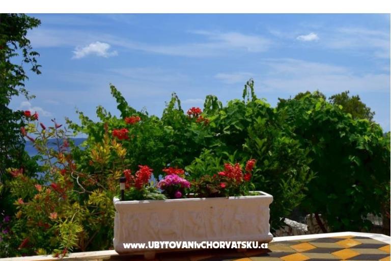 Apartmanok Ivan Okrug Gornji – fotó 6