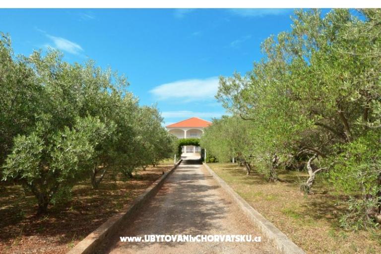 Apartmanok Lukas – fotó 11