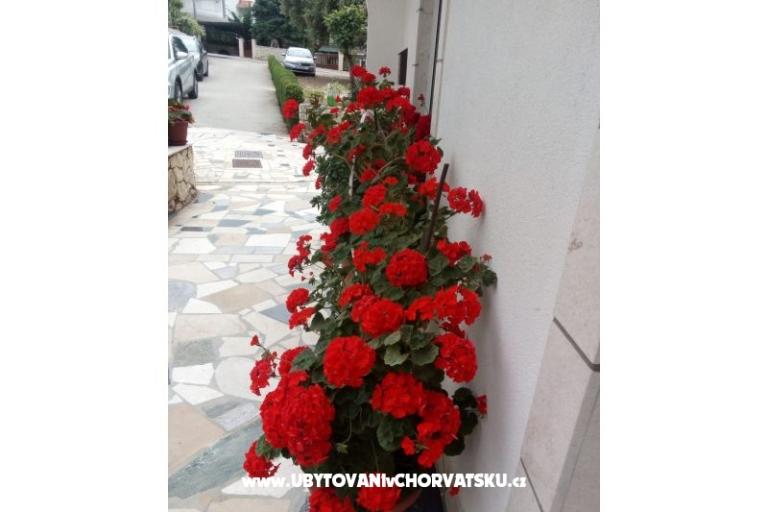 Apartmanok Malic – fotó 10
