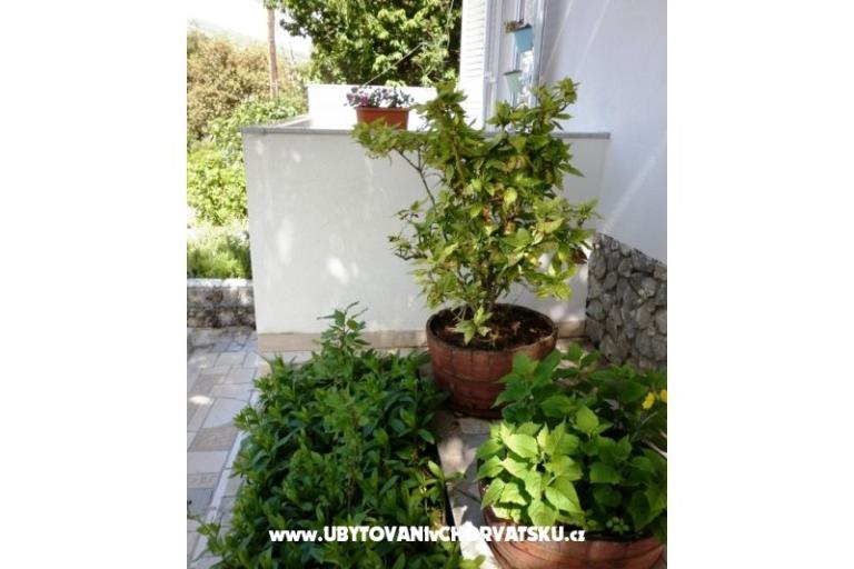 Apartmanok Mare – fotó 7