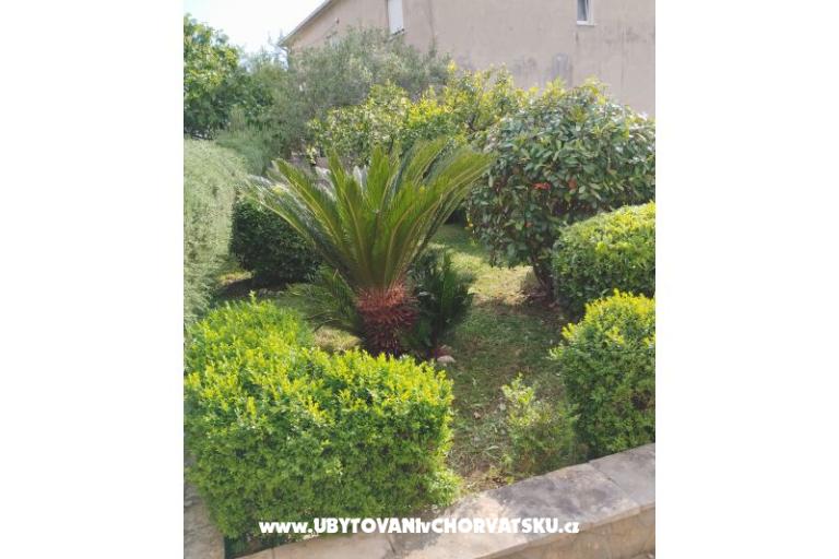 Apartmanok Marin – fotó 12