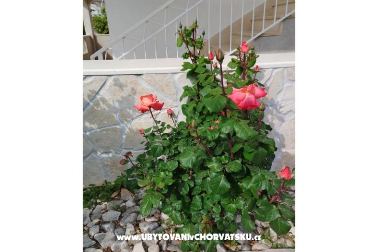 Apartmanok Marin – fotó 8