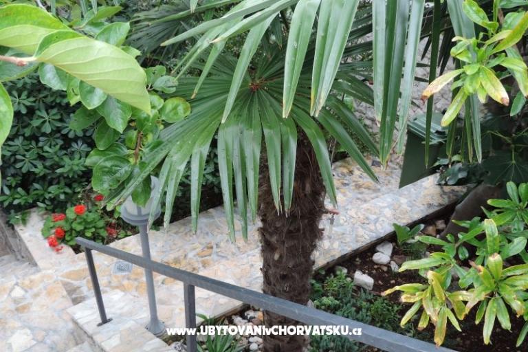 Apartmanok Natasa – fotó 16