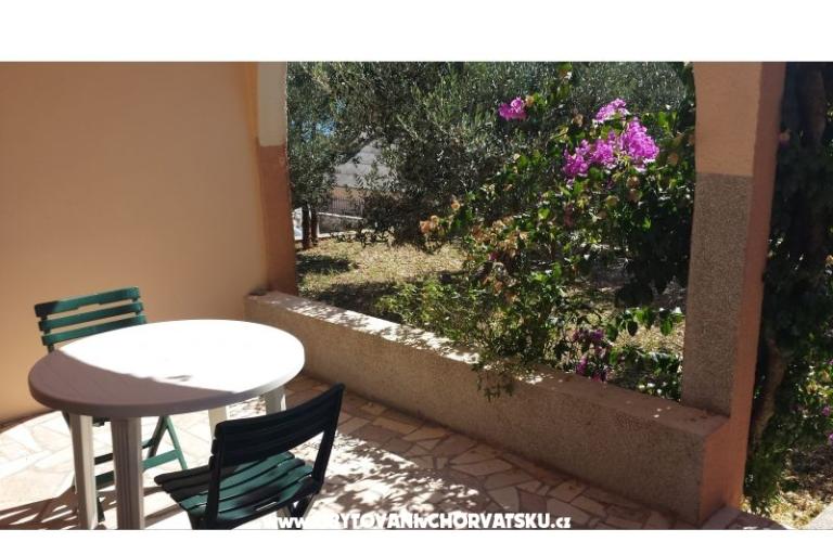 Apartmanok Zizic – fotó 10