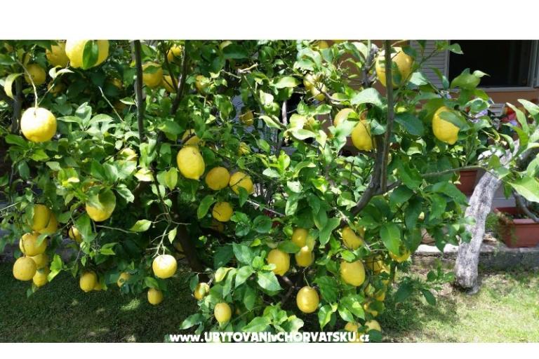 Apartmanok Bijelić – fotó 9