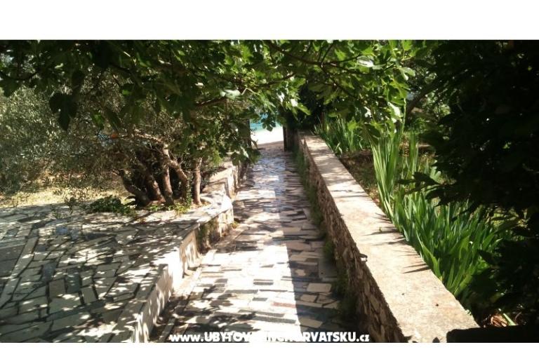 Apartmanok Jauca – fotó 9