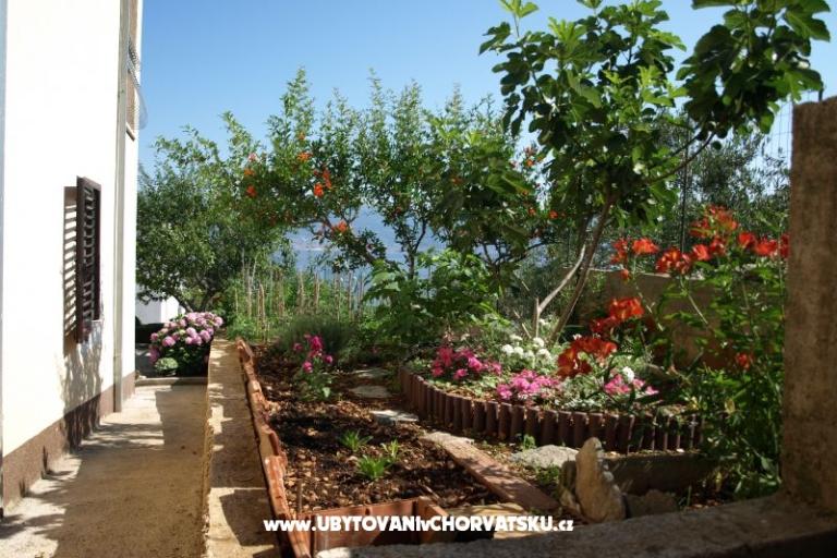 Apartmanok Ljilja – fotó 13