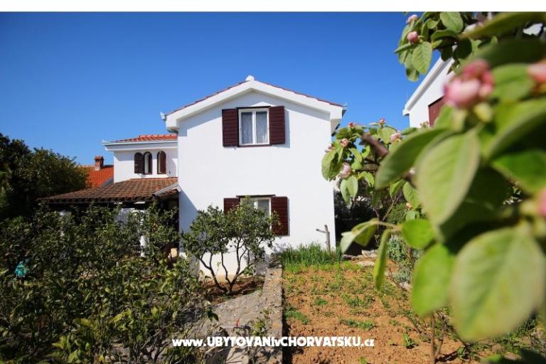 Apartmanok NIKA – fotó 4