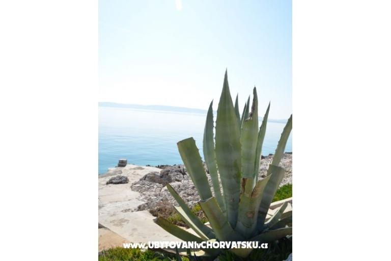 Apartmanok Petar Milat – fotó 9
