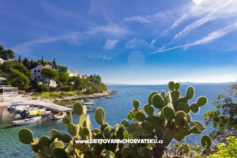 Apartmanok ŠUKI – fotó 5