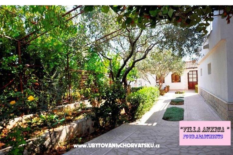 Apartmanok Villa Ankica – fotó 6