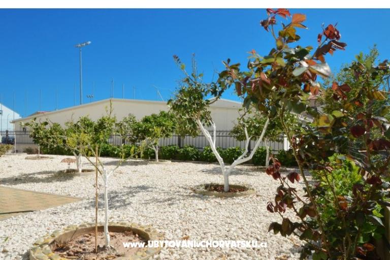 Simba Apartmanok – fotó 3
