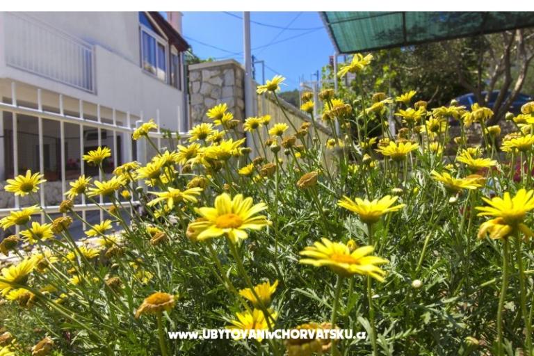 Apartmanok Katarina Čiovo – fotó 11
