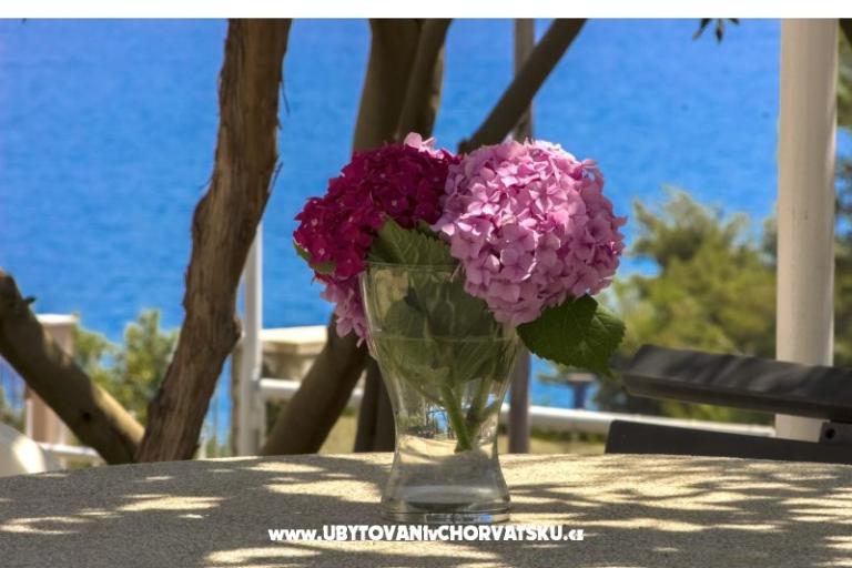 Apartmanok Katarina Čiovo – fotó 9
