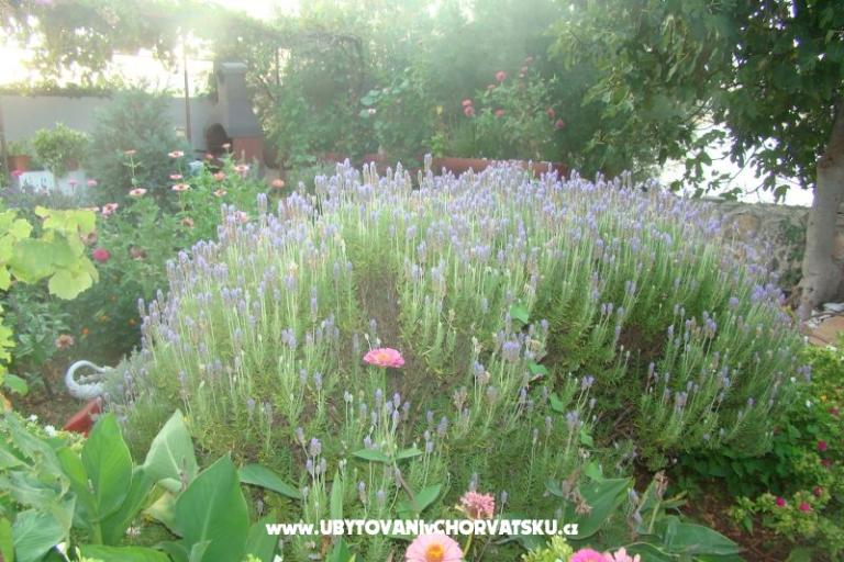 Apartmanok Villa Milena – fotó 6