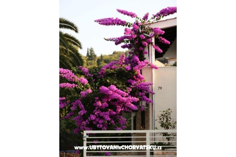 Villa Verandah – fotó 9