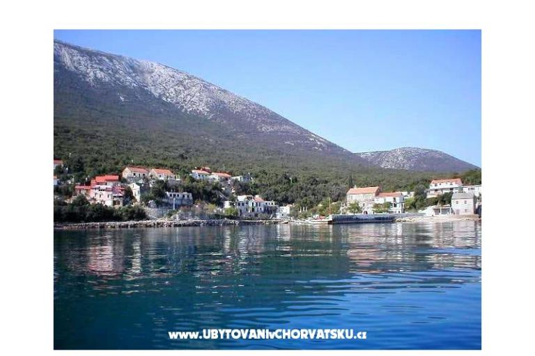Apartmanok BIBA – fotó 7