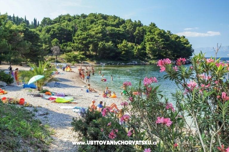 Apartmanok Ljubica – fotó 11