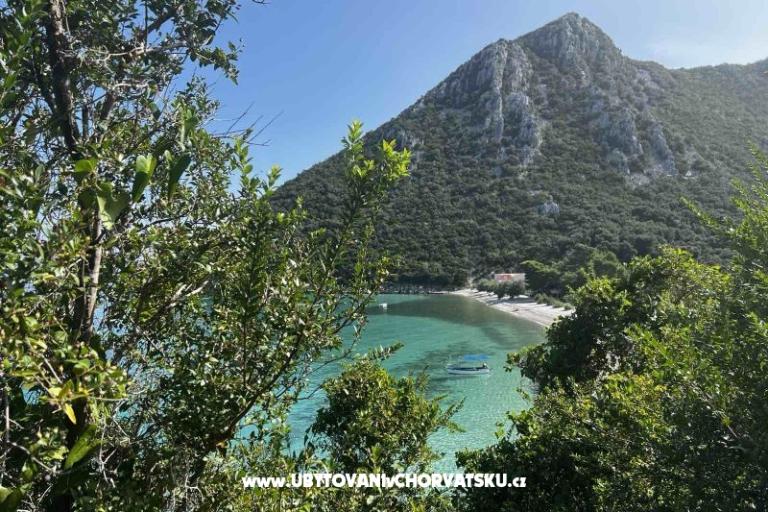Vila Nautilus luxury Apartmanok – fotó 9