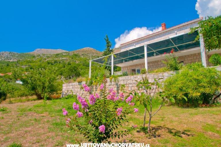 Villa Boskovic – fotó 2
