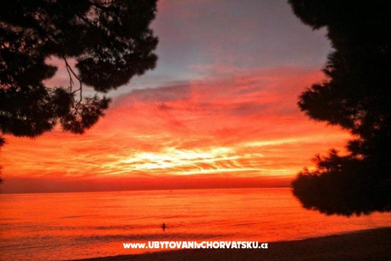 Apartmanok Stone  Tučepi  – fotó 14
