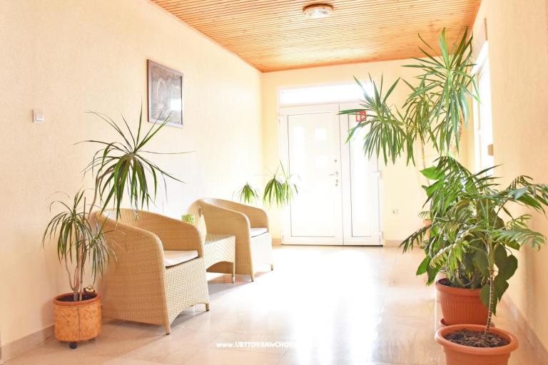 Apartmanok Stone  Tučepi  – fotó 8