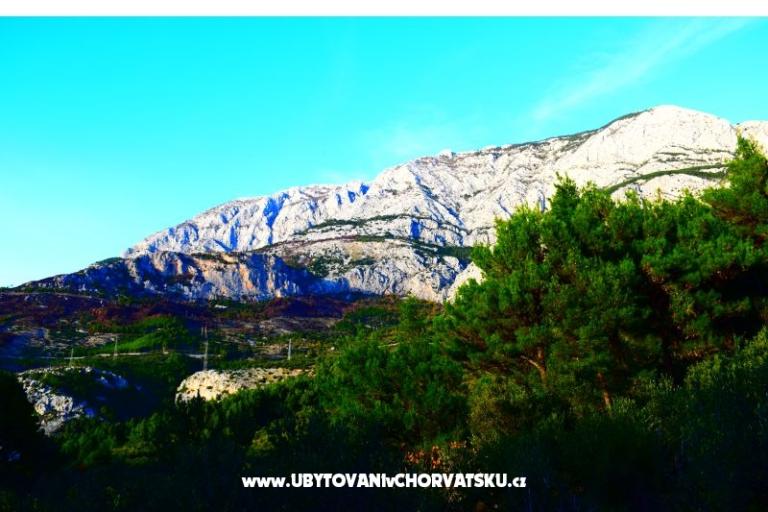 Apartmanok Marin – fotó 14