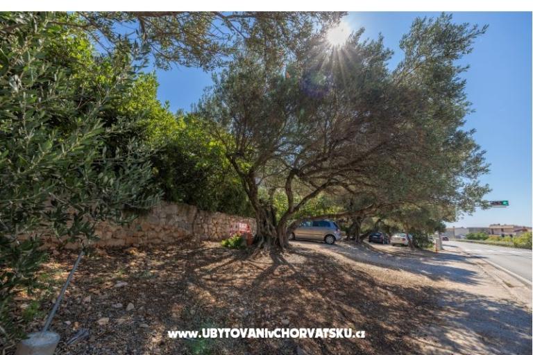 Apartmanok Marta – fotó 18