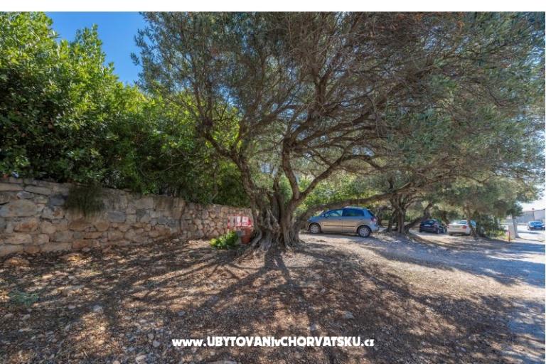 Apartmanok Marta – fotó 21