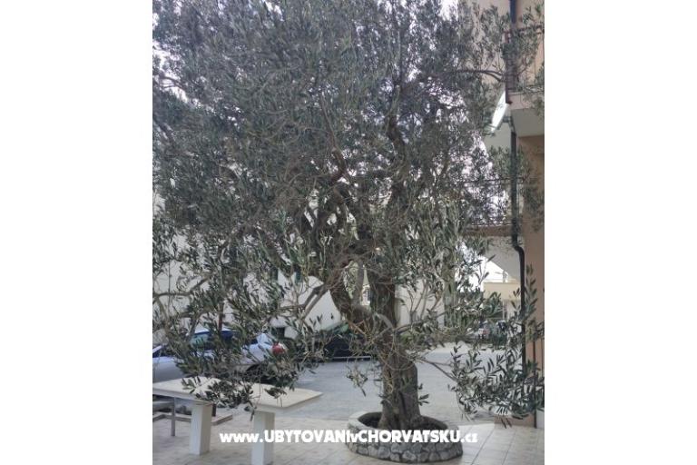Apartmanok Mena – fotó 4