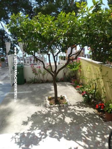 Apartmanok Mija – fotó 10