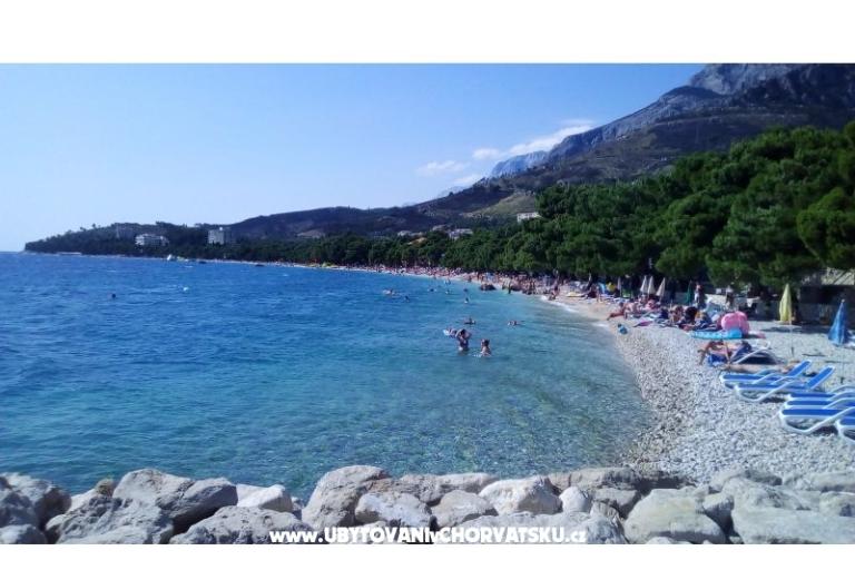 Apartmanok Mitan – fotó 8