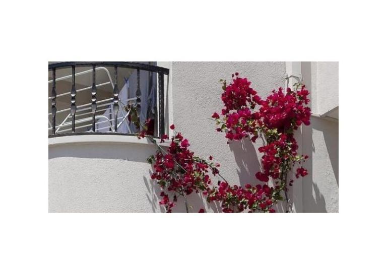 Apartmanok Suzana i Zlatan – fotó 8