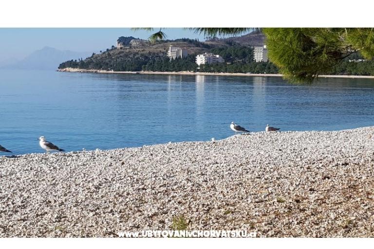 Apartmanok IKO - Tučepi – fotó 10