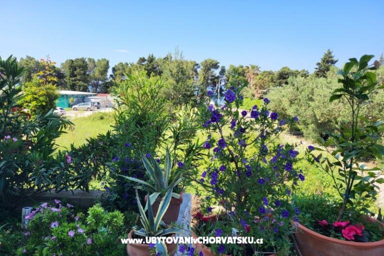 Apartmanok IKO - Tučepi – fotó 20