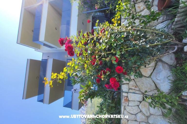 Apartmanok IKO - Tučepi – fotó 21