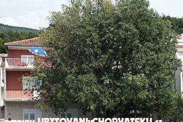 Apartmanok Maja Sevelj – fotó 2