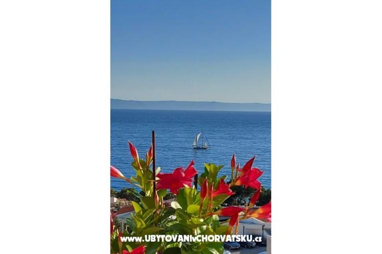 Apartmanok Nensi – fotó 2