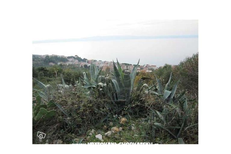 Vila Hermina – fotó 13