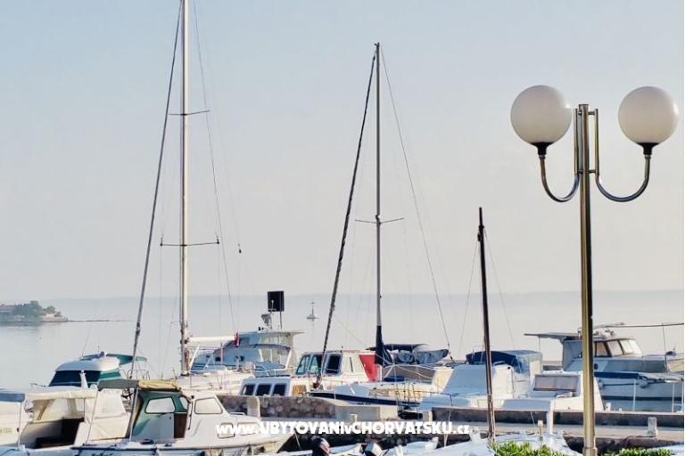 All Beachfront  – fotó 7