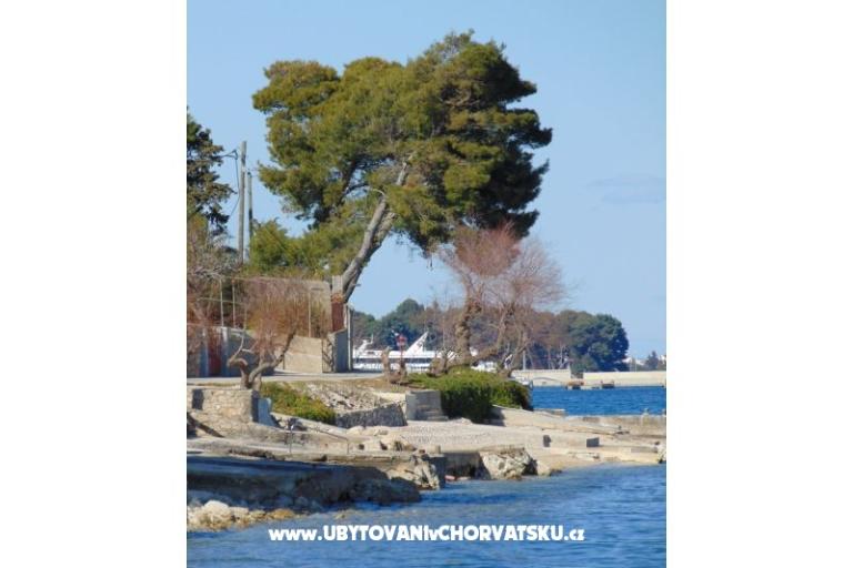 Apartman rosa – fotó 4
