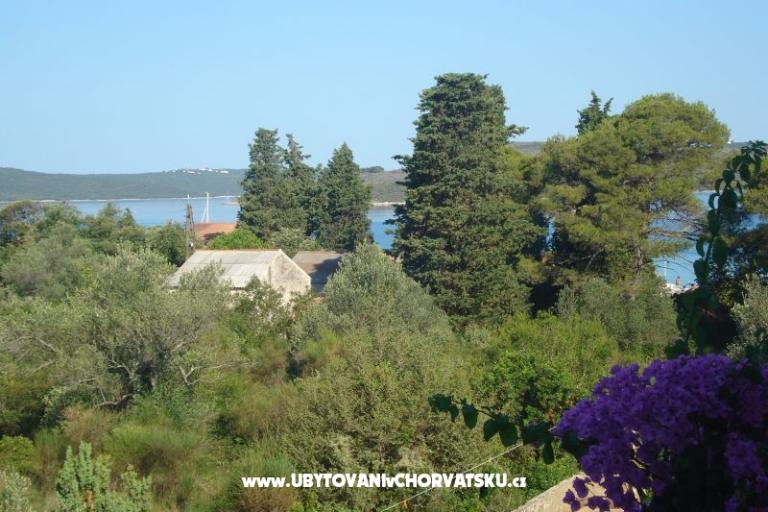 Apartmanok Branko Vidaković – fotó 12