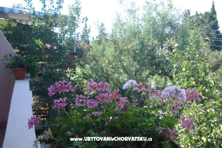 Apartmanok Branko Vidaković – fotó 8