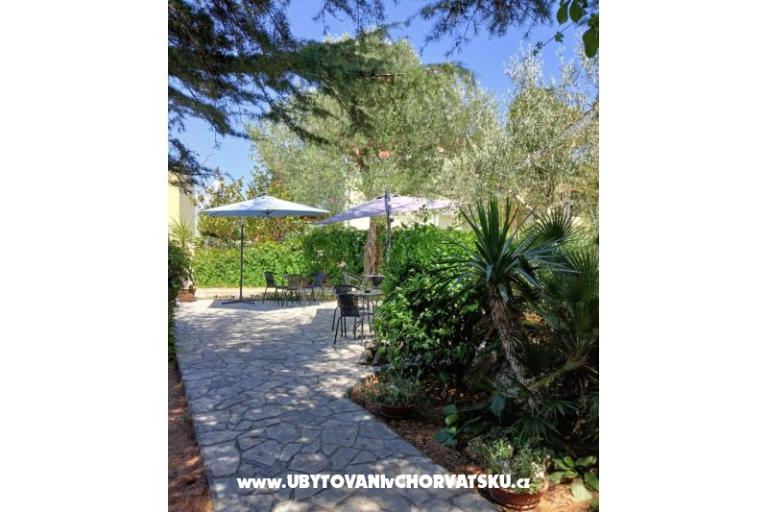 Apartmanok Galius Ugljan – fotó 16