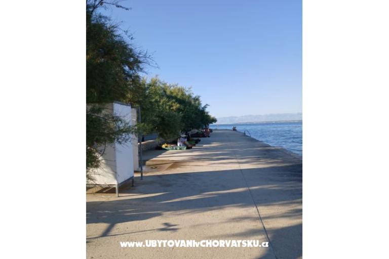 Apartmanok Galius Ugljan – fotó 20