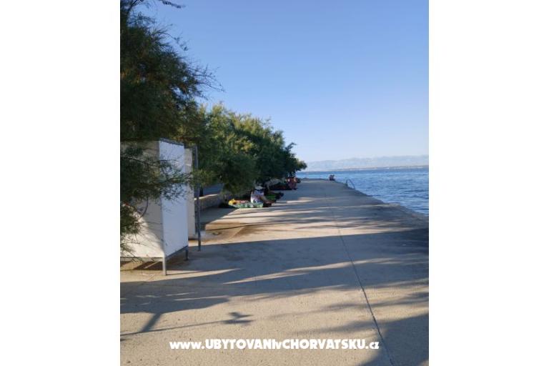 Apartmanok Galius Ugljan – fotó 5