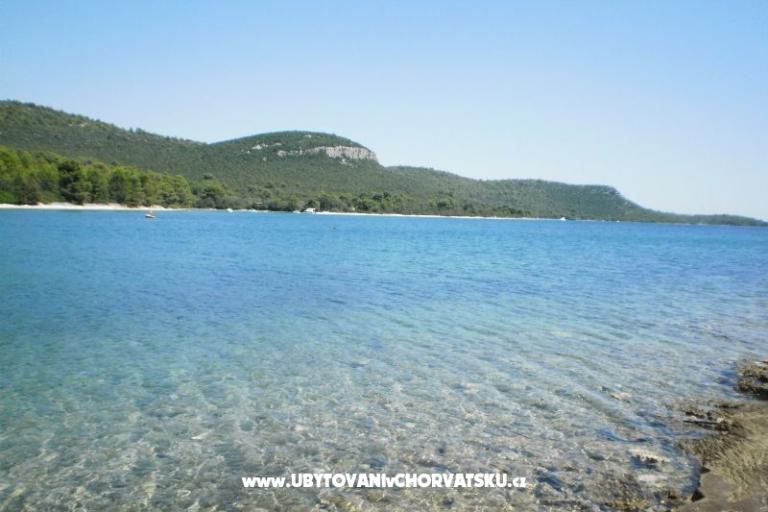 Apartmanok Lidija – fotó 3