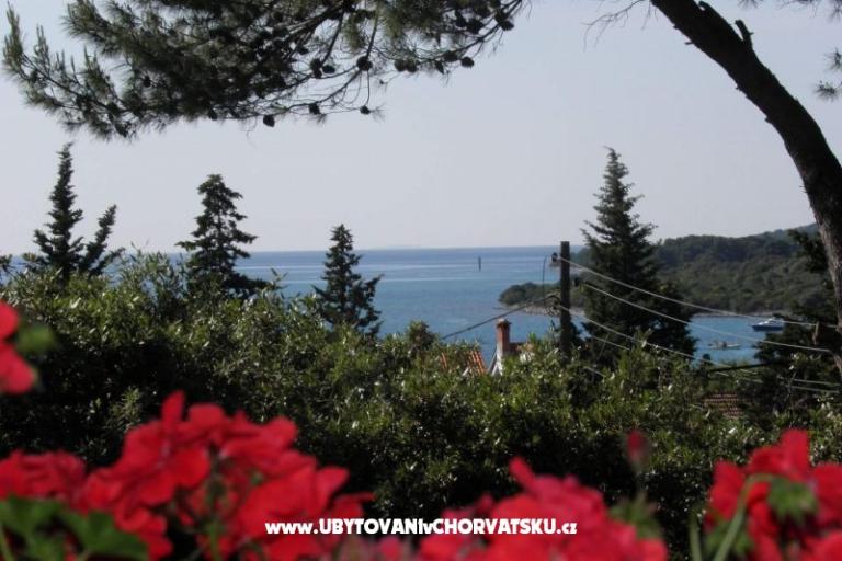 Apartmanok Mrva – fotó 11
